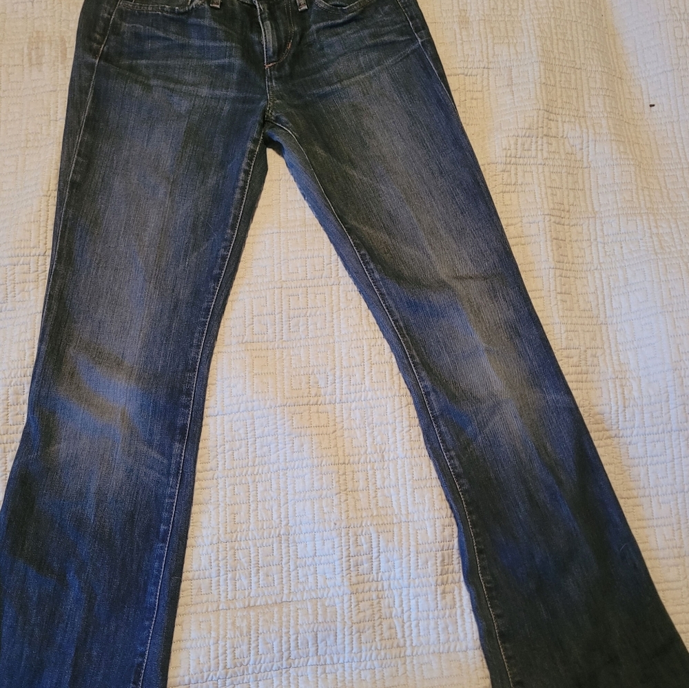 Joe's jeans provocateur/size 24